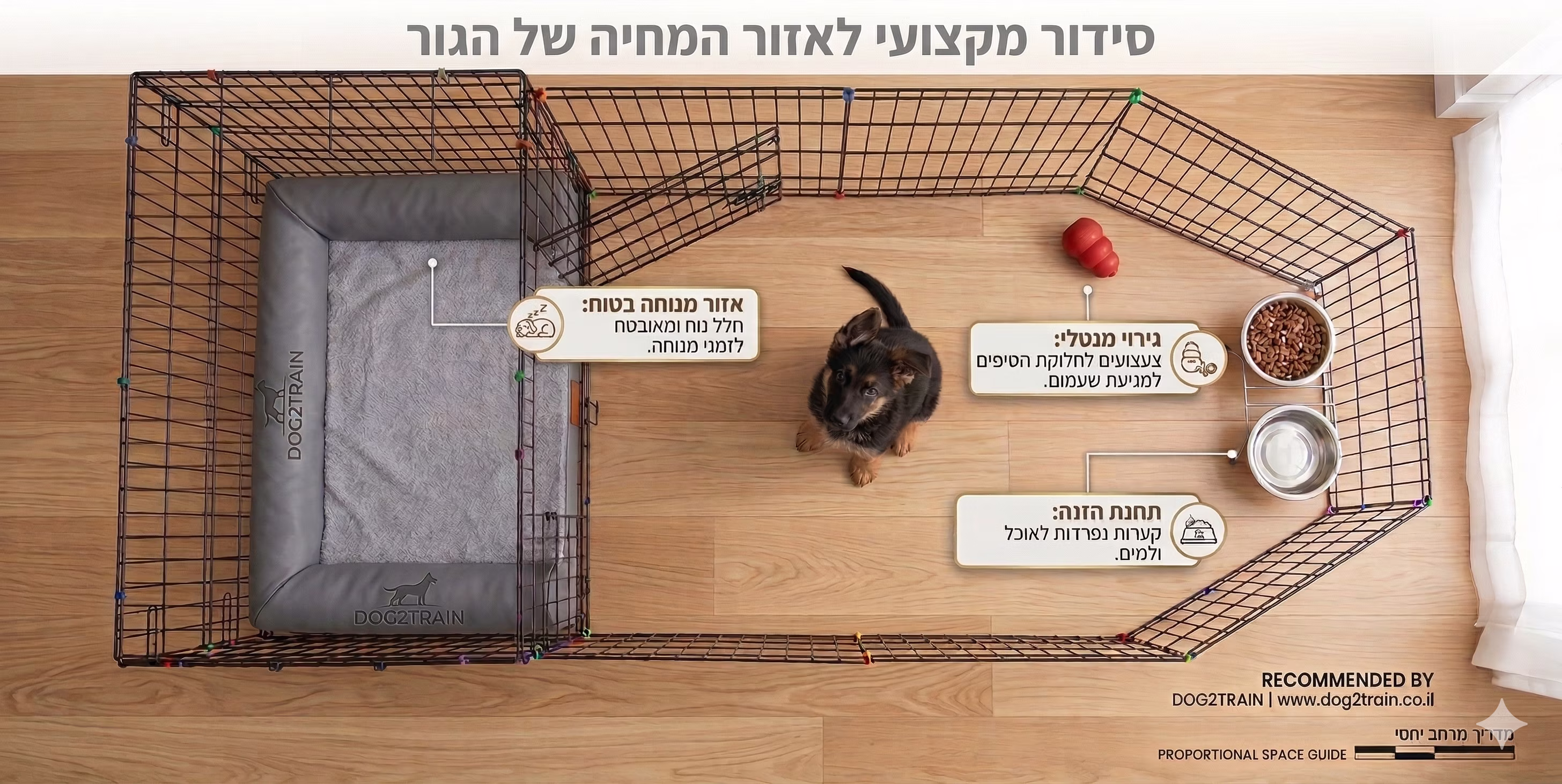 הצעה לסידור אזור המחיה של הגור - כלב בתוך גדר גורים